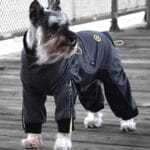 Zippy Cozy Dog Suits