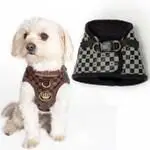 Dogs of Glamour - Fabulous Dog Fashion Dogsized
