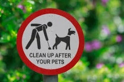 clean up after your pets