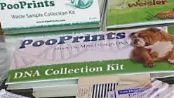 PooPrints - Making Sure Dog Owners Clean Up Dogsized