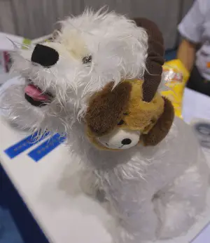 Funny Dog Products at the Global Pet Expo