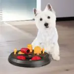 Dog Treat Dispenser Toys Dogsized