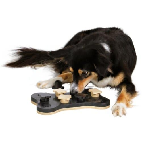 Trixie Game Bone - Intelligent Game for Dogs