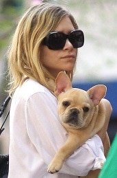 Mary-Kate Olsen with her Frenchie