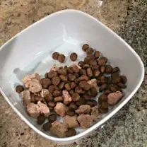 Kibble with Meal Mixers For Dogs