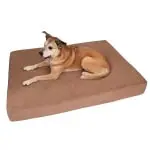 Great Large Dog Beds Dogsized