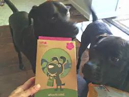 Fit Dogs Can Carry Their Own Poop Bags!