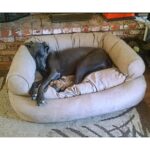snoozer large dog bed