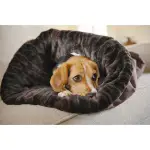 Top 10 Small Dog Beds - Great Comfort & Style