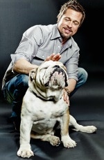 The Bulldog - cute, stocky breed puts a smile on our face! Dogsized