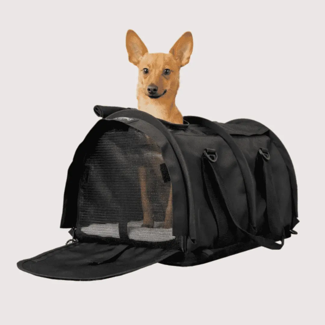 Want a Lightweight Dog Carrier When Flying with Fido?