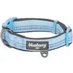 Dog Collars, Harnesses and Leashes Dogsized