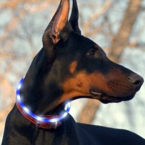 LED Rechargeable Dog Collar