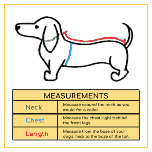 Ultimate Dog Size Guide