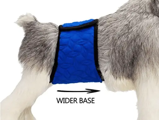 How to Choose a Dog Belly Band Dogsized