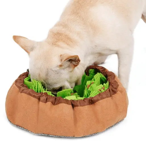 Why Your Dog Needs a Snuffle Mat