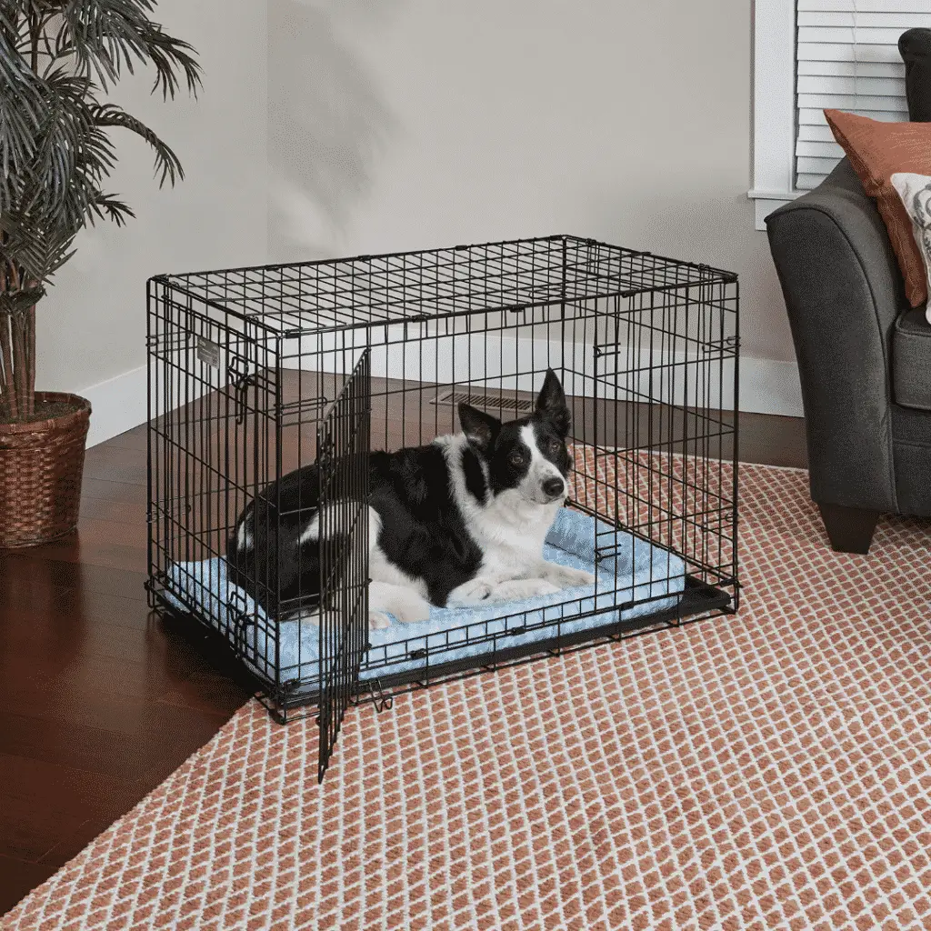 Dogsized-large-dog-crate-with-dog-bed