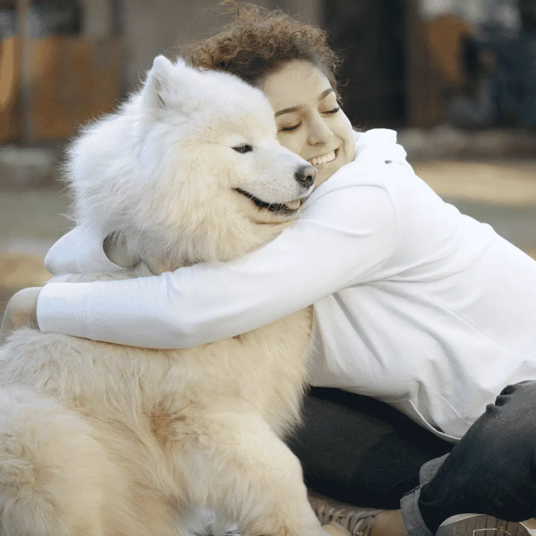 Femme-chien qui enlace un chien samoyède de taille moyenne