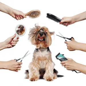 Dog grooming tools