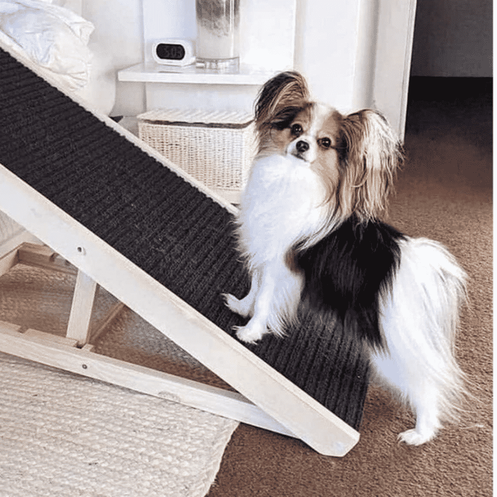 Dog Ramp