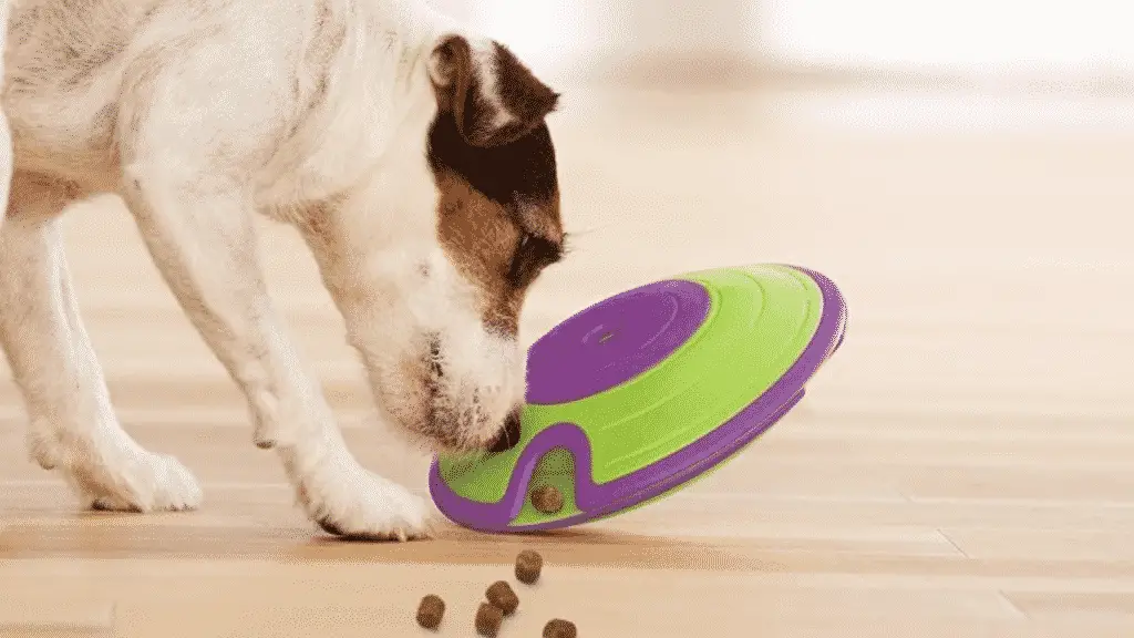 Dog Treat Dispenser