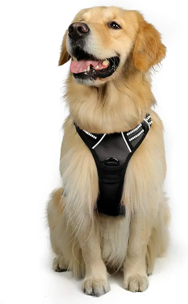 No Pull Dog Harness