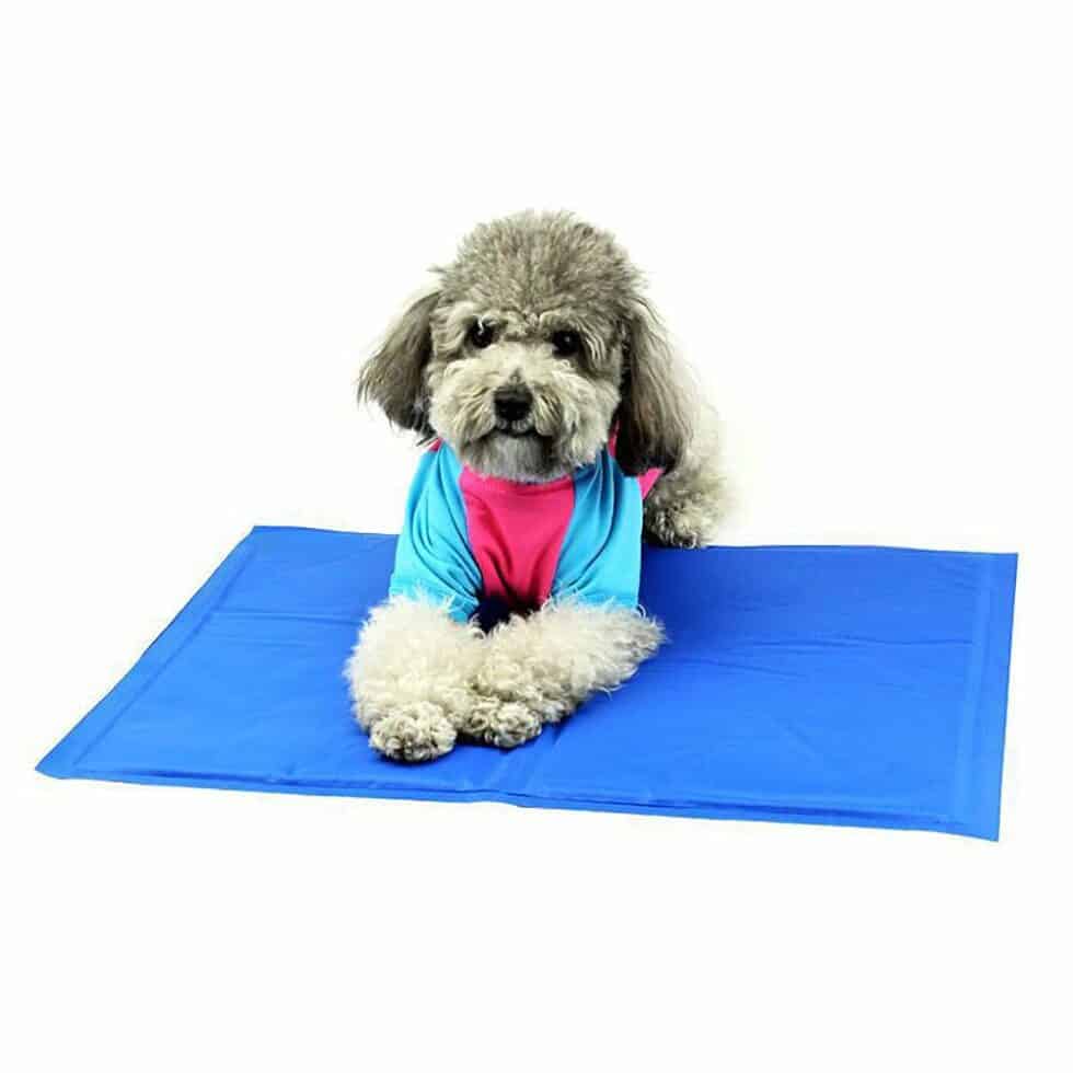 Are Dog Cooling Mats Safe