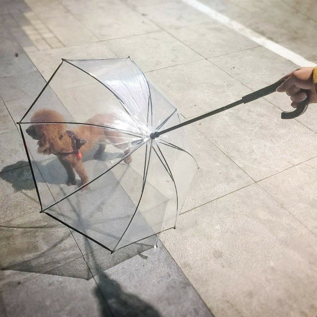 Dog Umbrella