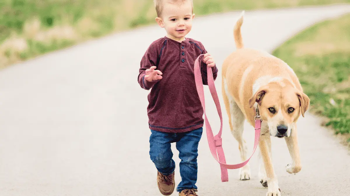 medium dog breeds for families with kids