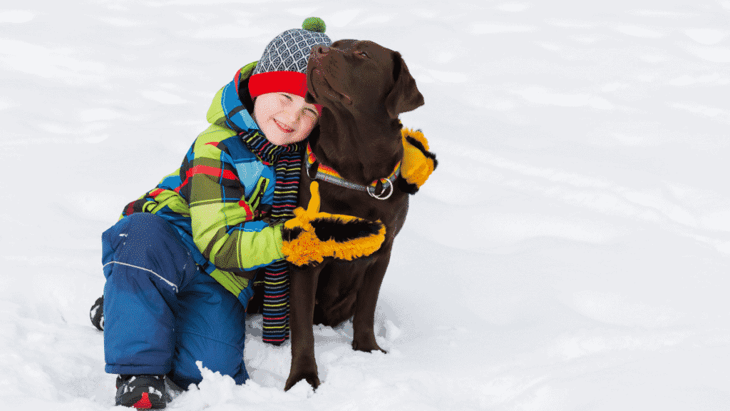 The Best Big Dogs For Kids Dogsized