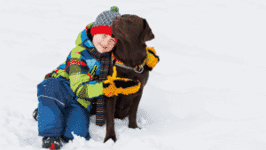 The Best Big Dogs For Kids