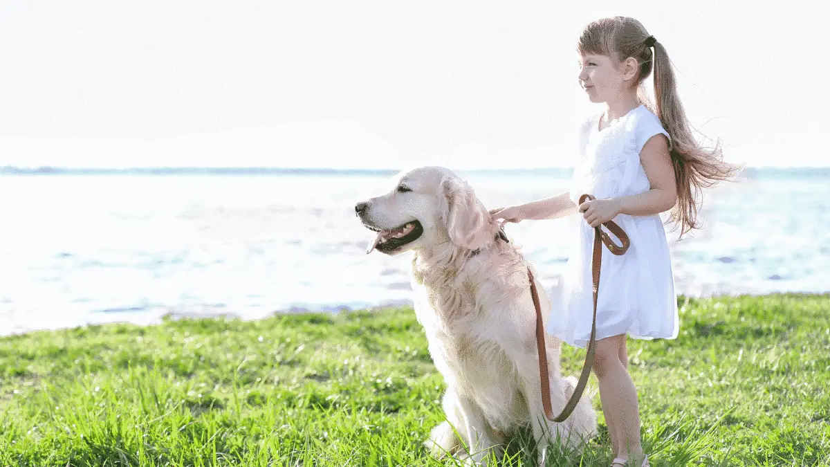 Mittelgroße Hunde - Große Hunde - Große Hunderassen für Kinder