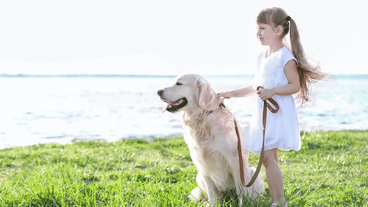 Les meilleurs chiens de taille moyenne pour les enfants