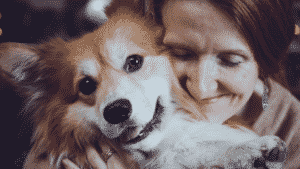 Medium Dog Breeds for seniors - Corgi