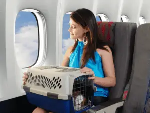 Dog carrier - Flying with Your Dog on a Plane