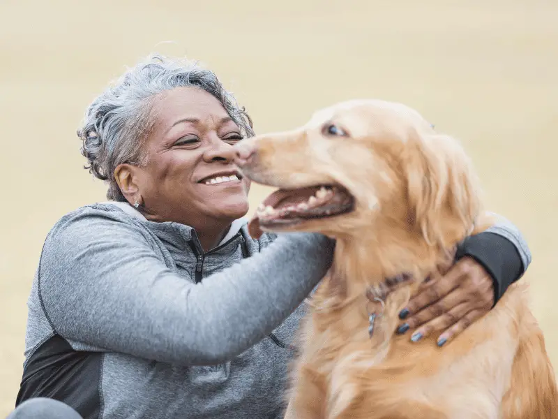 Hello Dog – How To Greet a Dog For The First Time