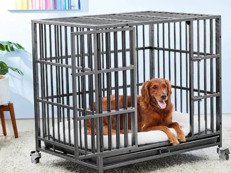 dog kennel size chart