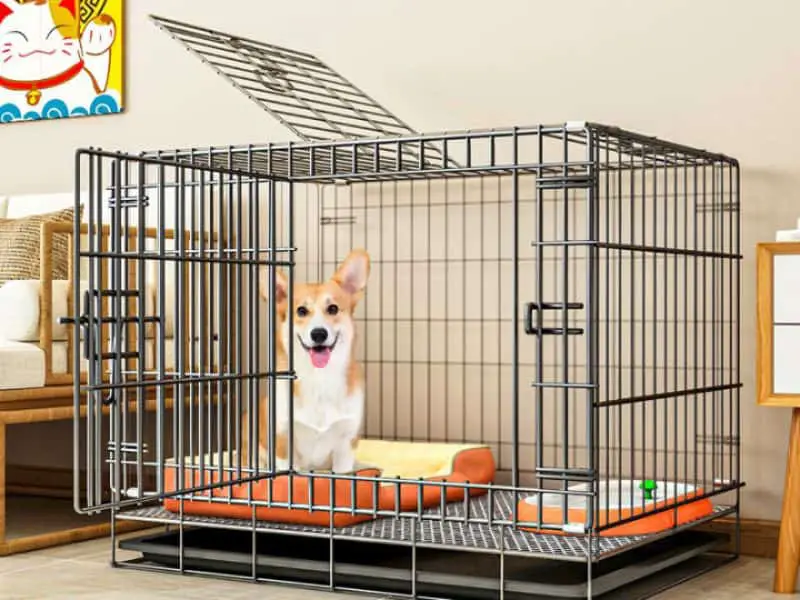 Dog Kennel Sizes Petsmart at Gordon Sherrard blog