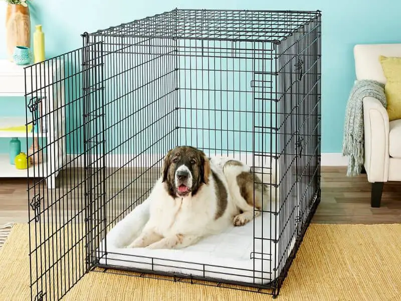 dog kennel size chart
