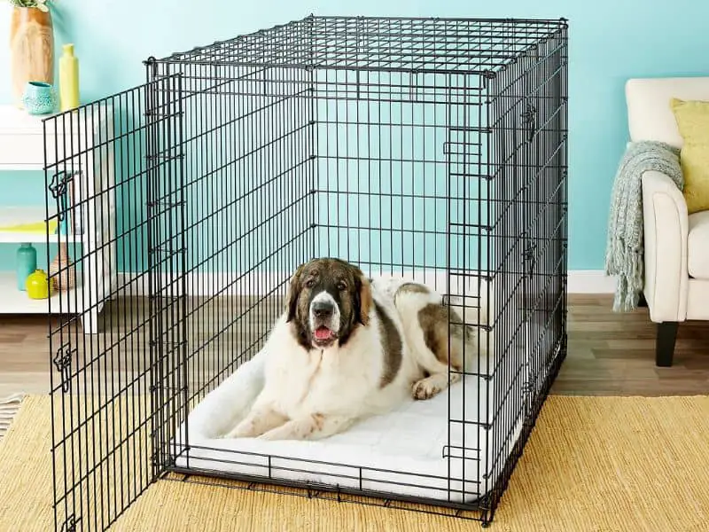 Dog Kennel Size Chart for Your Dog's Comfort and Safety