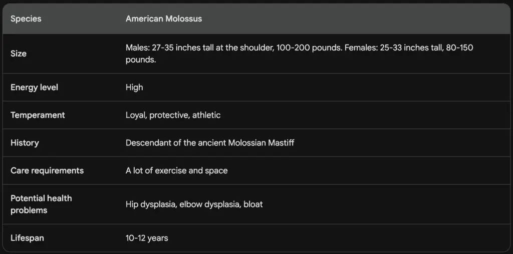 The American Molossus - table data