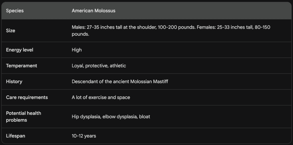 The American Molossus - table data