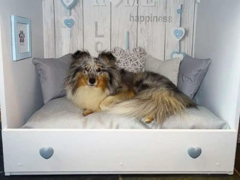 custom size dog bed