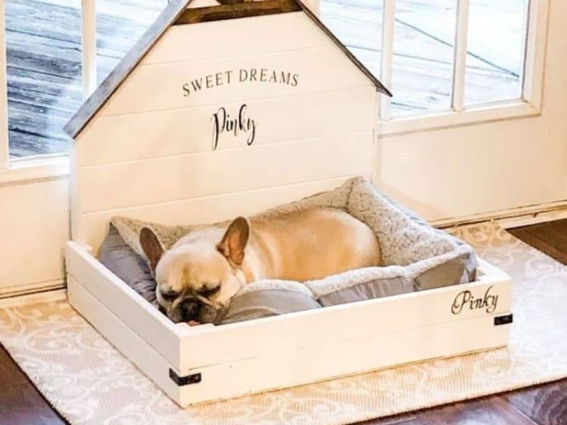 Designing the Perfect Custom Size Dog Bed: What You Need to Know