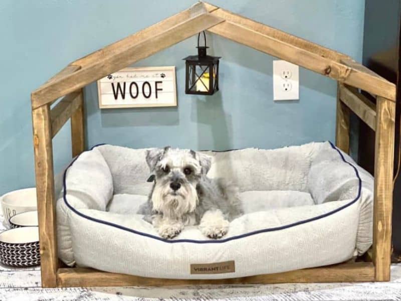 custom size dog bed