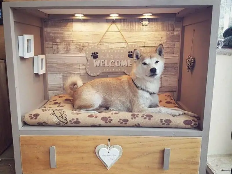 custom size dog bed