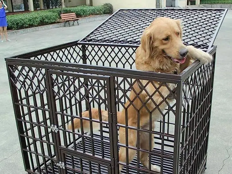 large size dog cage
