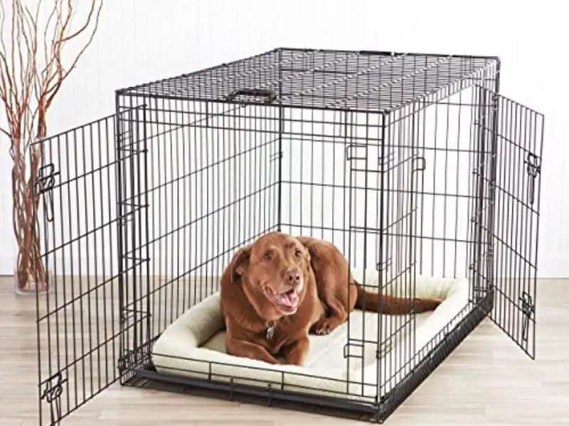 Dog Cage Size Chart dog cage-brown