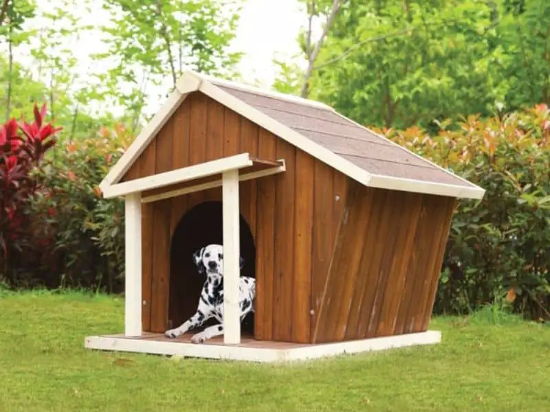 dog house size- dalmatian