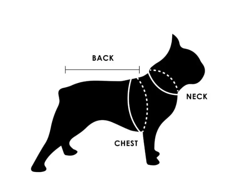 dog neck size chart